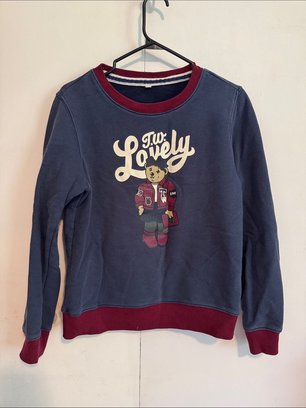 Teenie Weenie Navy and Burgundy Crewneck Sweater with Bear Graphic